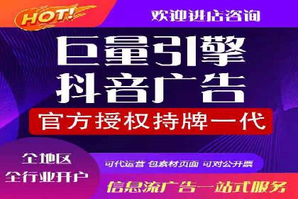 探索专业SEM托管的奥秘：从案例看效果